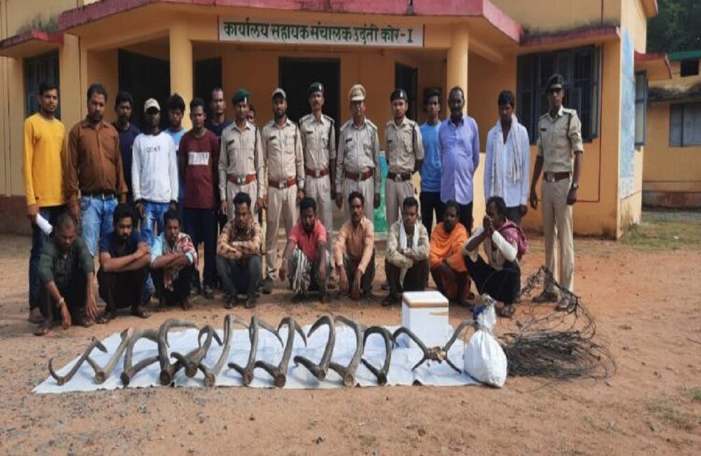 9 accused arrested for hunting rare wildlife and selling their parts