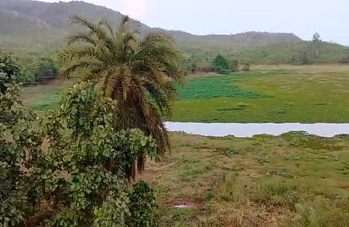 Rajhara Dam News: गर्मी नहीं बल्कि इन वजहों से खतरे में आया ‘राजहरा डेम’ का अस्तित्व, समय रहते नहीं दिया ध्यान तो भुगतने पड़ेंगे भयानक परिणाम