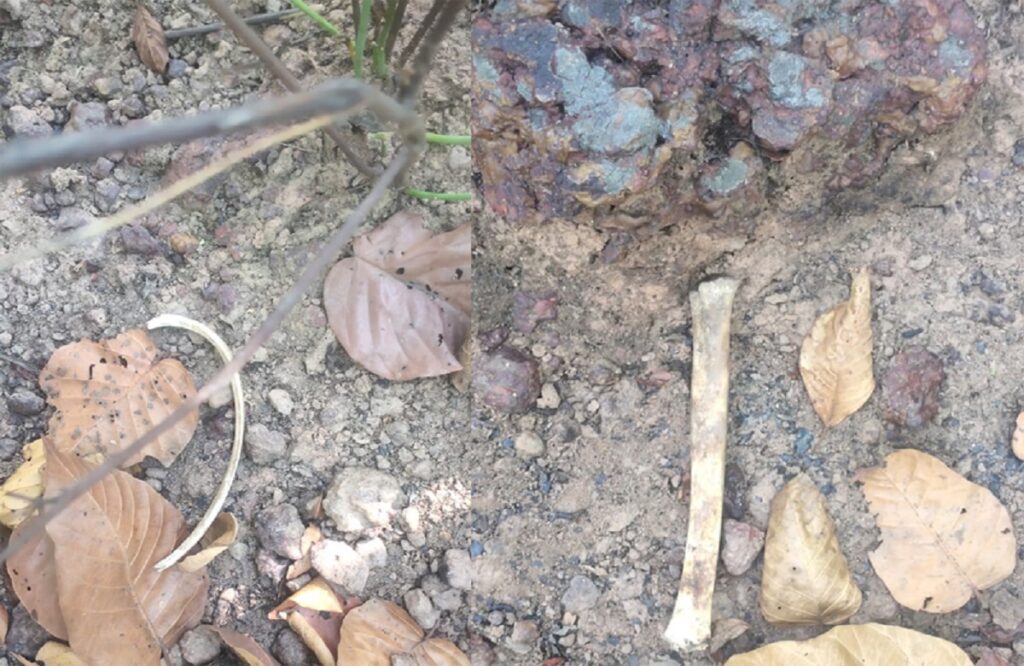 parts of several months old male skeleton found in the forest