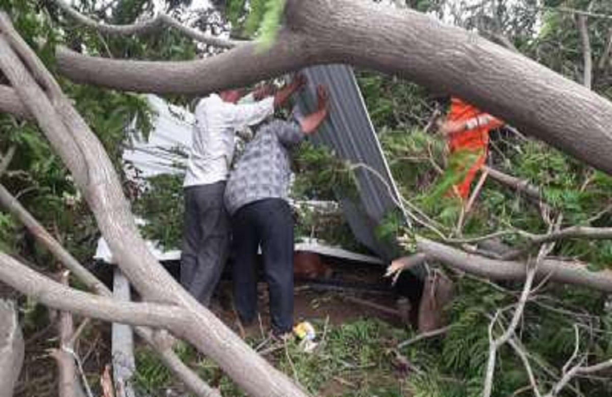 Cyclone Biparjoy Latest Update : तबाही मचा रहा चक्रवाती तूफान बिपरजॉय, 200 बिजली के खंभे गिरे, तीन लोग घायल