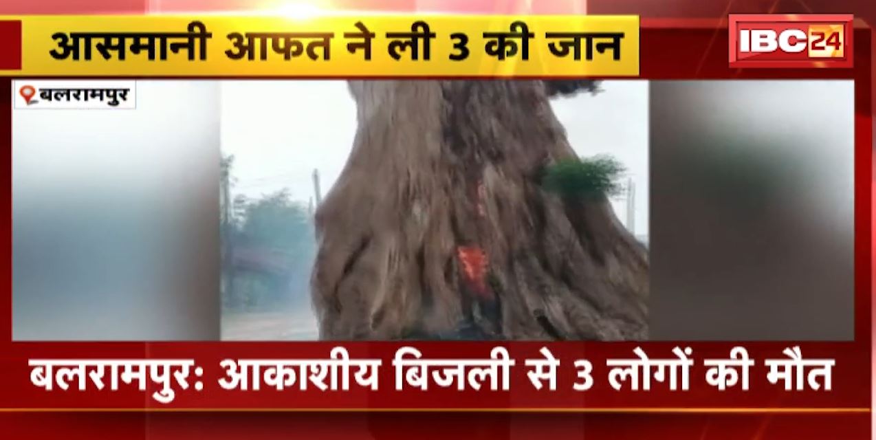 Balrampur में पेड़ पर आकाशीय बिजली गिरने से लगी आग, 3 लोगों की मौत