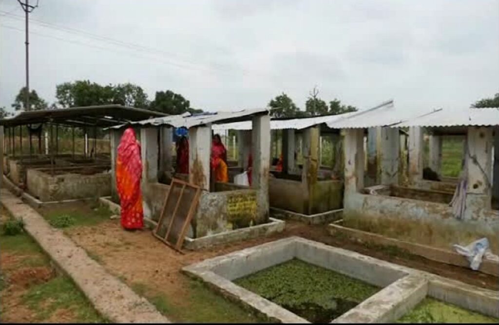 Panchayat secretary suspended for negligence in cow dung purchase