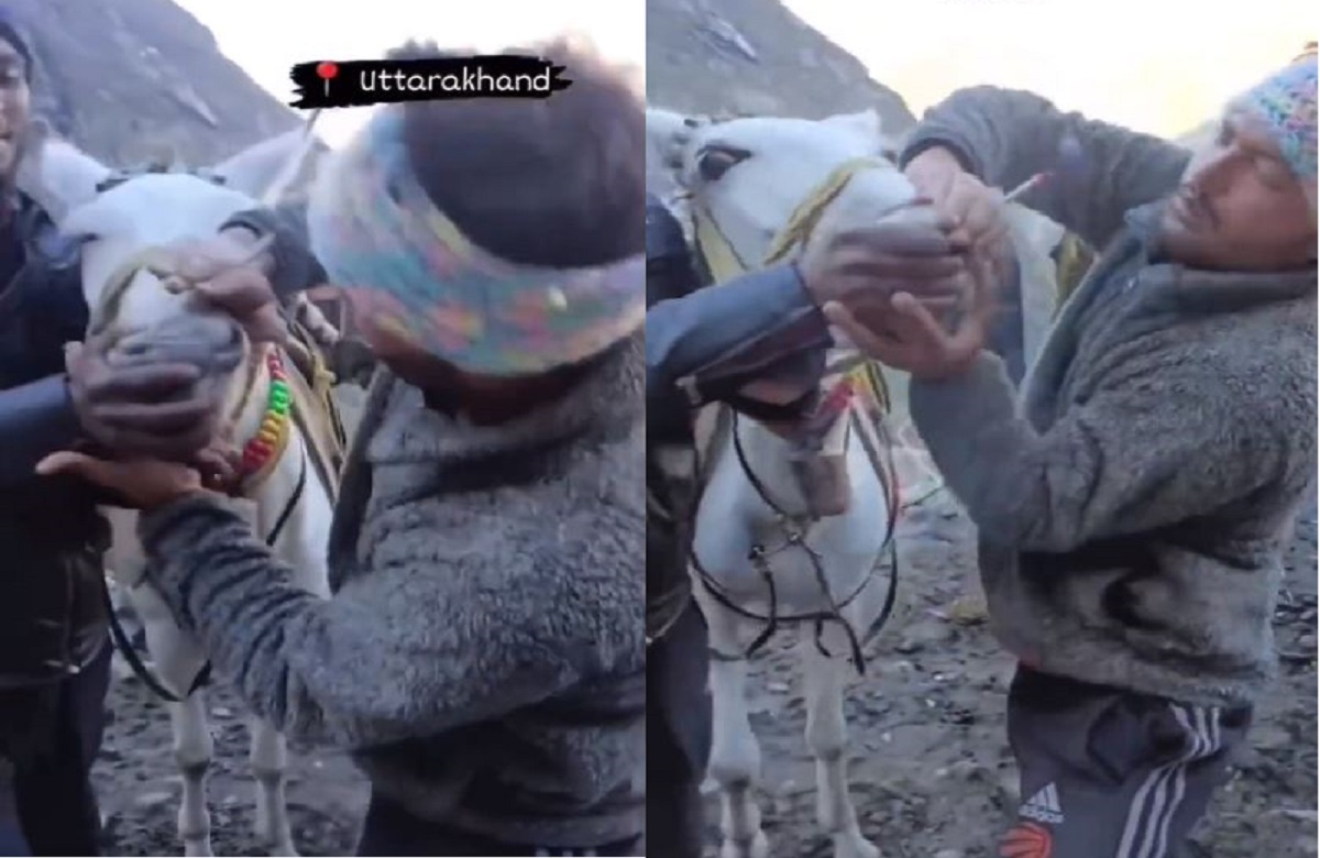 देवों की भूमि में बेजुबान के साथ क्रूरता! जबरन मुंह दबाकर पिलाया सिगरेट, वायरल हुआ वीडियो