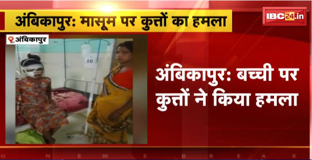 Ambikapur Dog Attack : बकरी चराने गई मासूम पर कुत्तों का हमला। घायल बच्ची अस्पताल में भर्ती