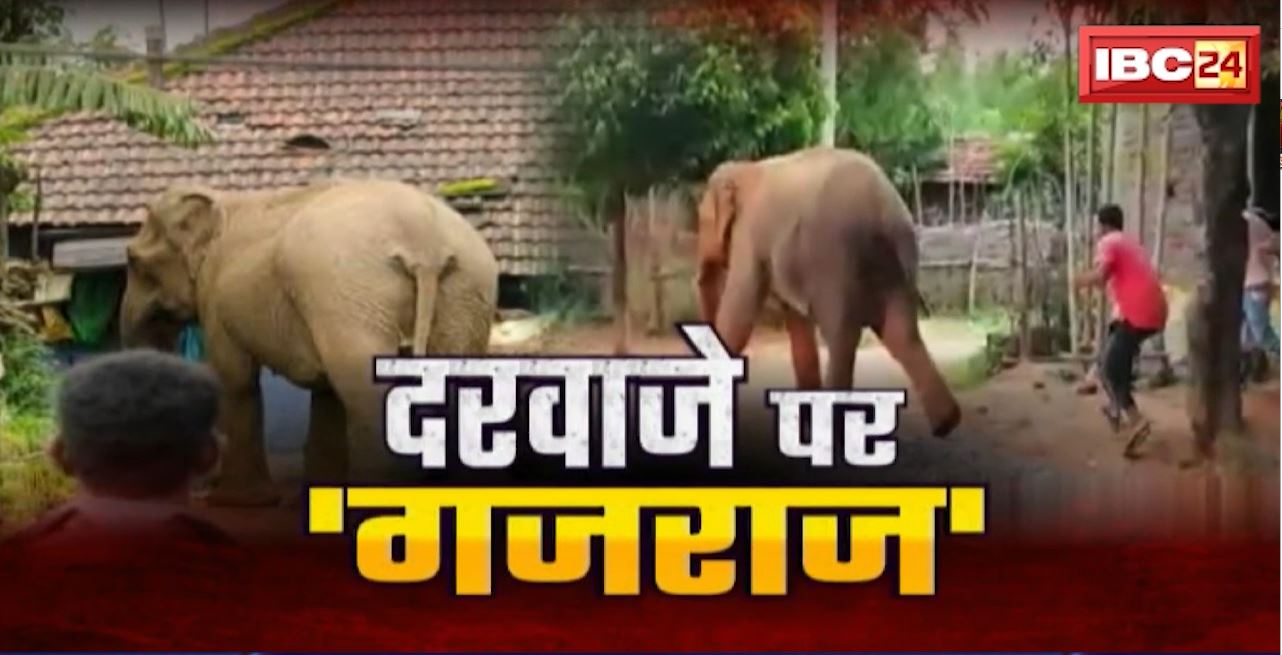 Chhattisgarh Elephant News : अषाढ़ की रात, दरवाजे पर ‘गजराज’। हाथियों ने घरों को पहुंचाया नुकसान।