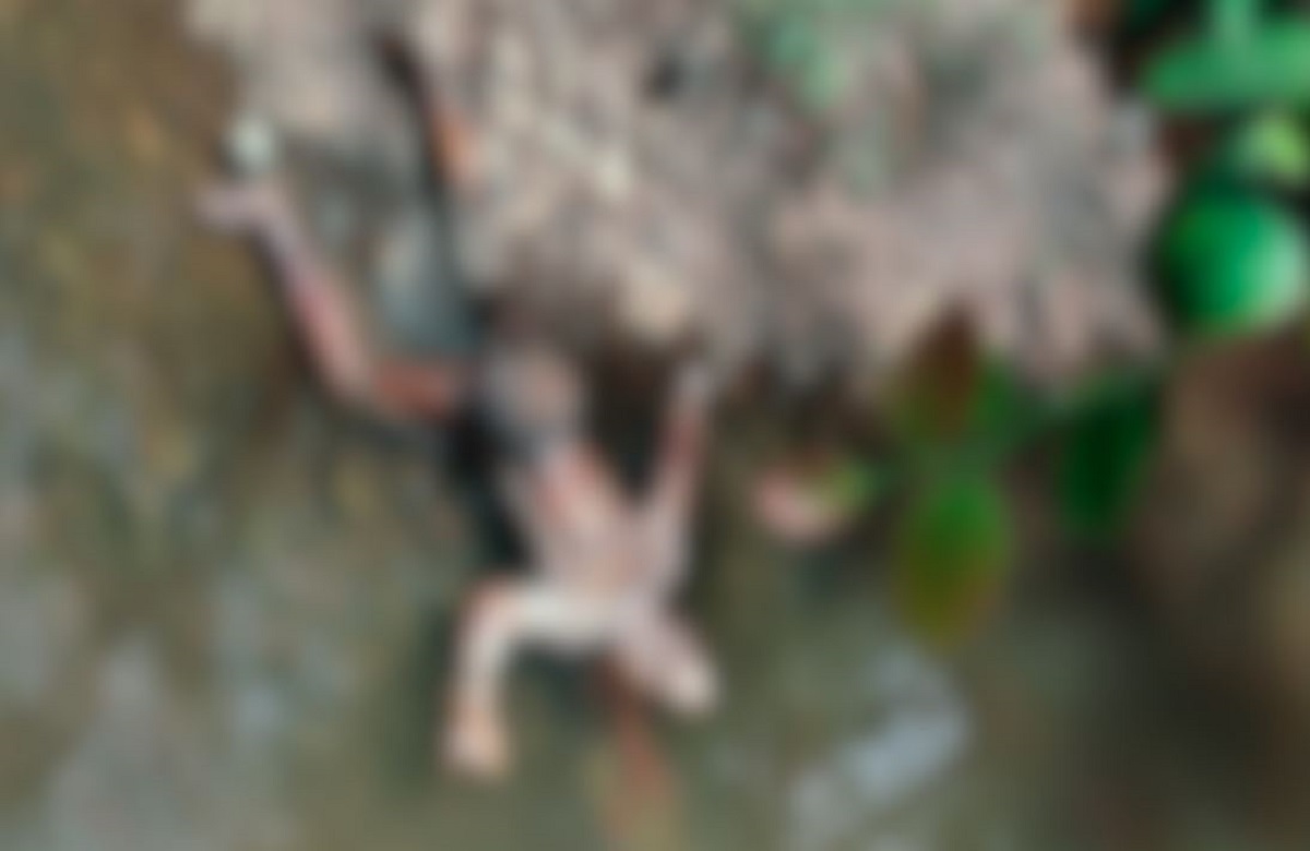 Kawardha news: संदिग्ध अवस्था में मिली हफ्तेभर से लापता युवक की लाश, इलाके में फैली सनसनी