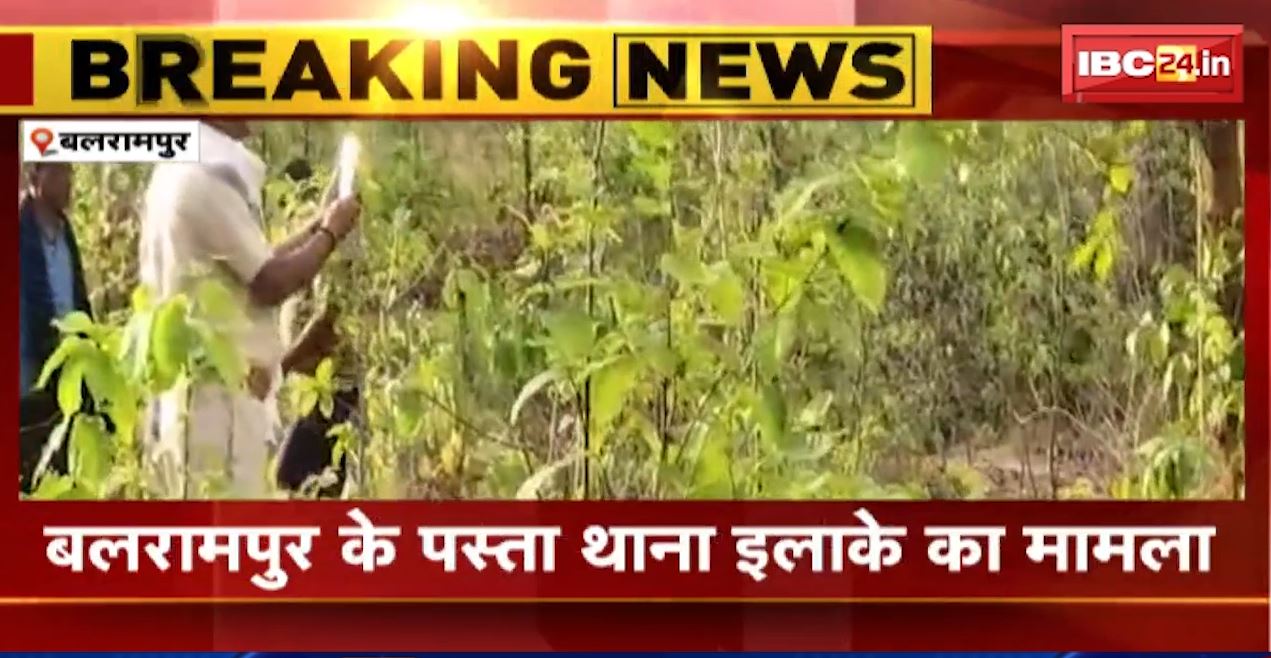 बलरामपुर के जंगल में युवक की लाश मिलने से सनसनी। कई दिन पुरानी बताई जा रही है लाश। देखिए वीडियो..