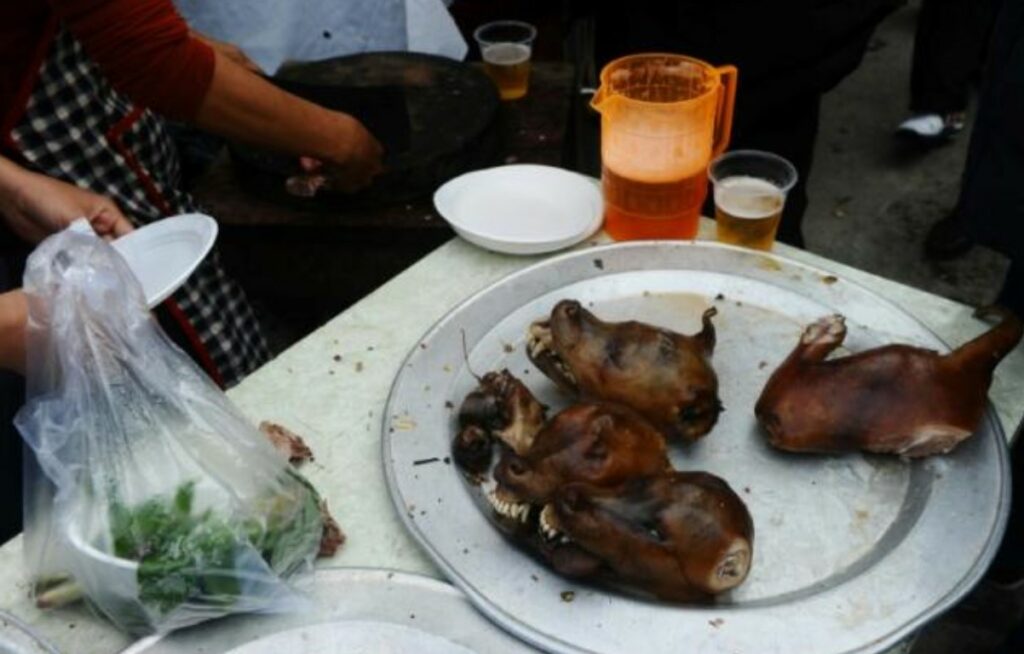 High Court Lifts Ban on Sale Dog Meat