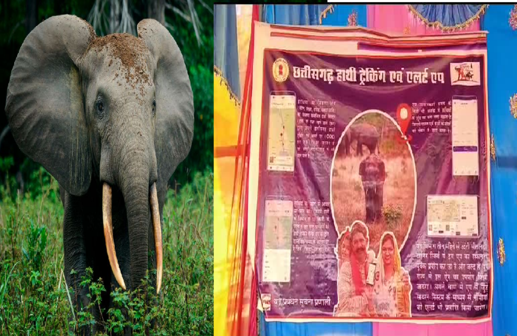 Elephant alert app launched in Chhattisgarh