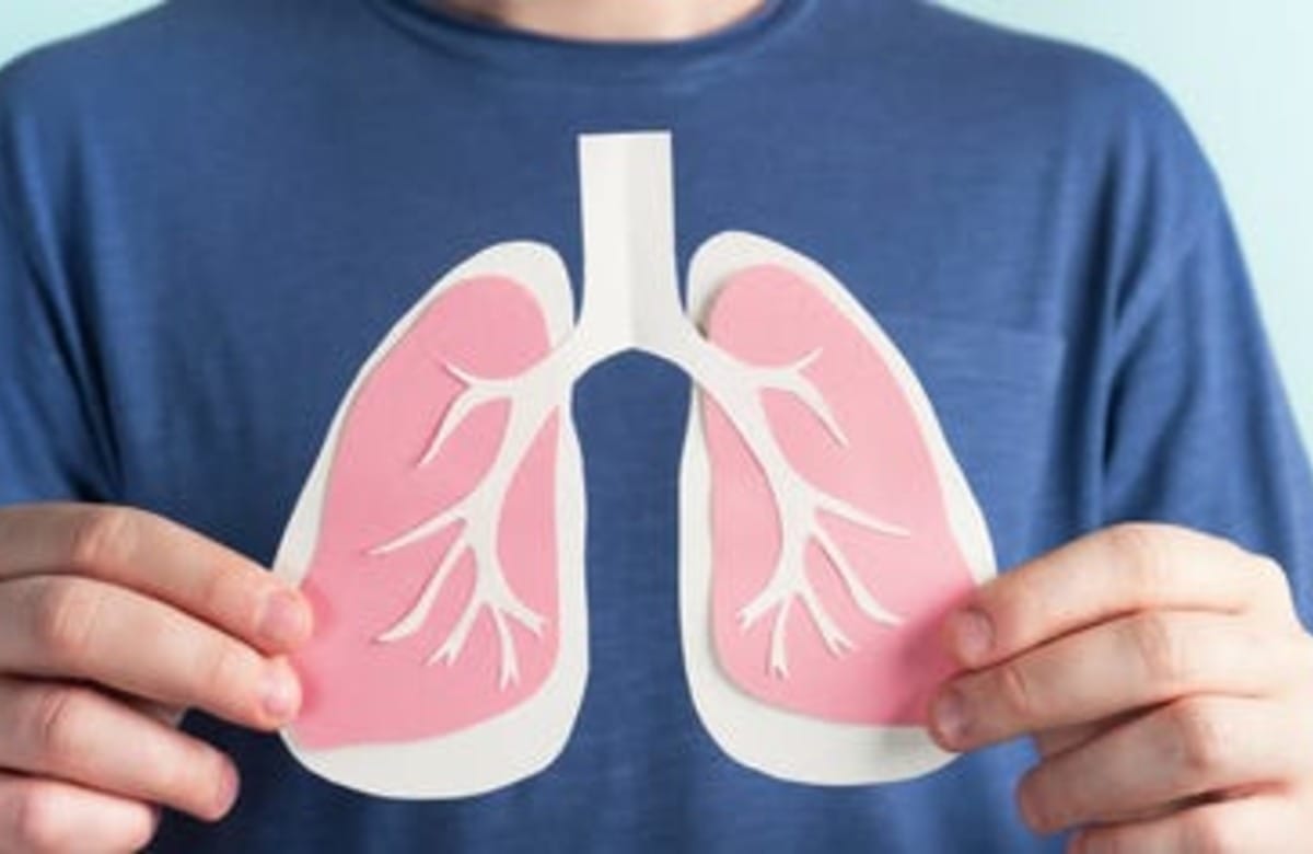 क्या आप भी करते है धूम्रपान? नाजुक फेफड़ो पर पड़ता है गहरा असर, इन आसान उपायों से रखे अपने लंग्स को पूरी तरह स्वस्थ