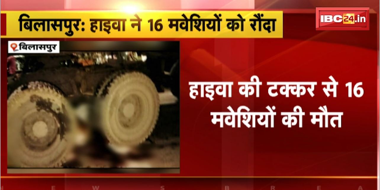 Bilaspur Accident News : हाइवा ने 16 मवेशियों को रौंदा | हादसे के बाद हाइवा छोड़कर ड्राइवर फरार
