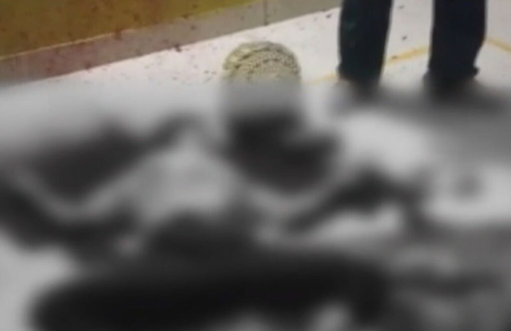 Husband Brutally Killed Wife