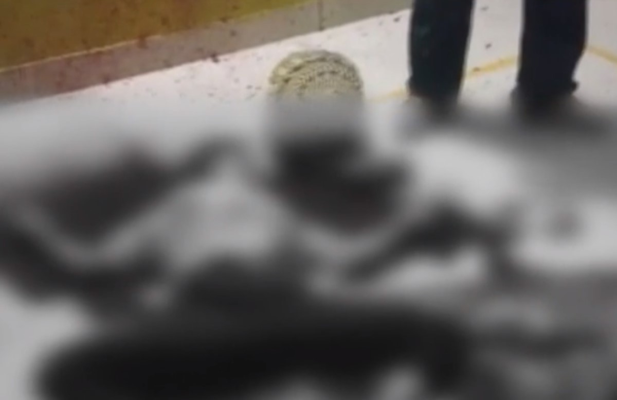 सिर्फ इस बात के लिए पति ने पत्नी की कर दी हत्या, दी ऐसी मौत कि लाश देखकर कांप उठेगी रूह