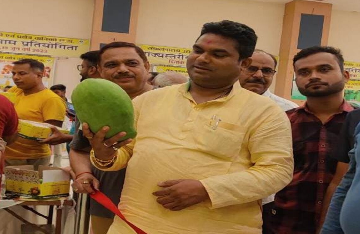 ये है दुनिया के सबसे मंहगे आम, एक आम में होते हैं दो तरह के स्वाद, कीमत जानकर आपके भी उड़ जाएंगे होश