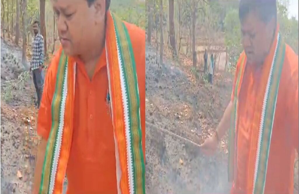 Jashpur MLA Vinay Bhagat was seen extinguishing the fierce fire in the forest