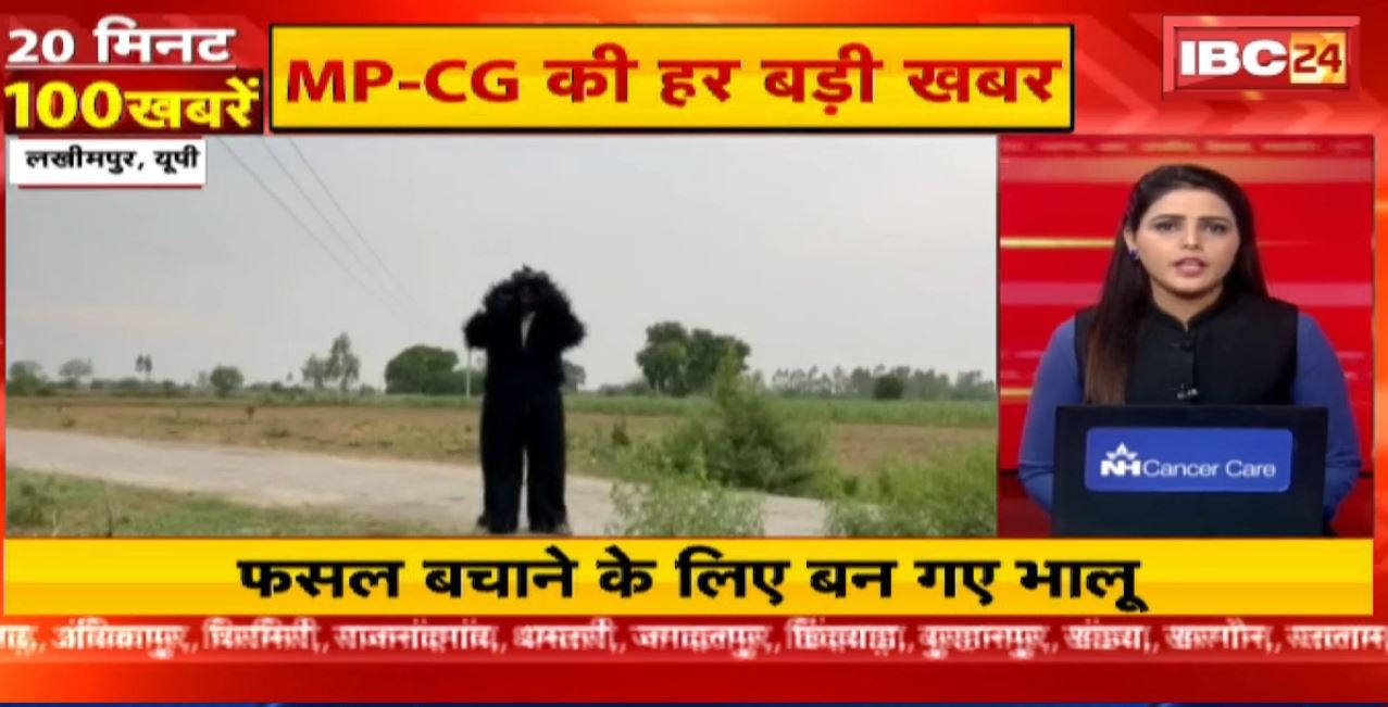 फसल बचाने के लिए किसान बन गए भालू। 20 Minute 100 News | Fast50 | MP-CG Latest News