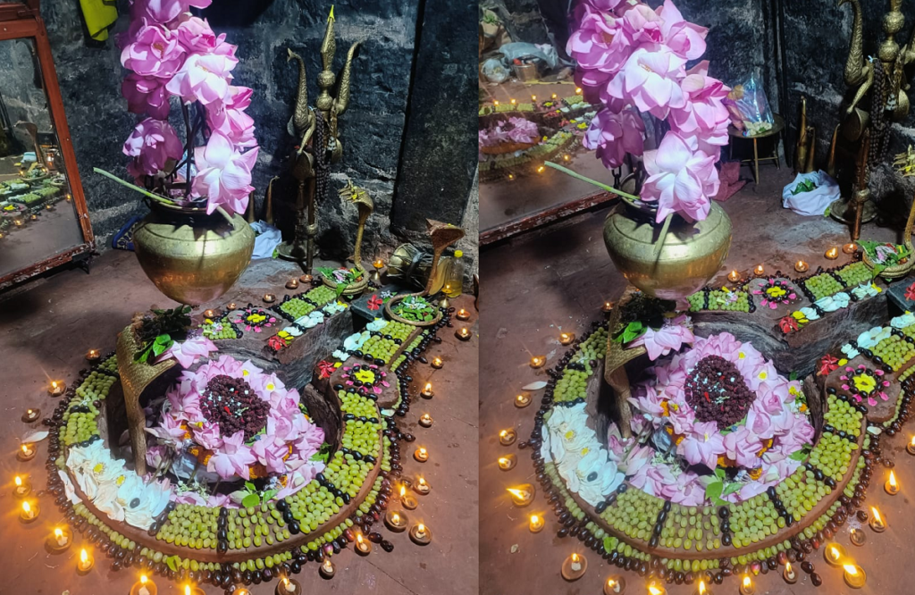 Amazing makeup of Baba Kuleshwarnath with grapes, lotus flowers and rudraksha beads