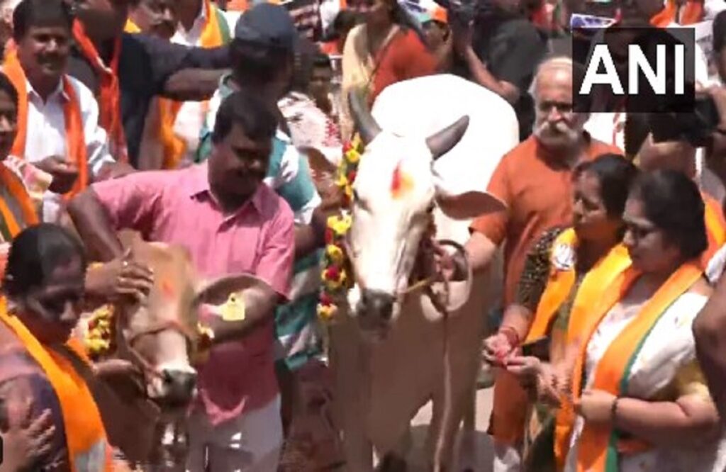 BJP workers protest with cows in Karnataka