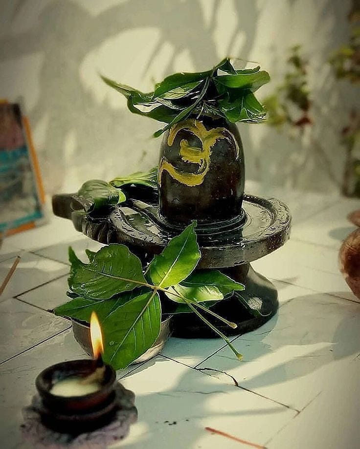 मान्यता है कि शिवलिंग पर बेलपत्र अर्पित करने से महादेव प्रसन्न होते हैं और श्रद्धालु को मनोवांछित फल की प्राप्ति होती है।