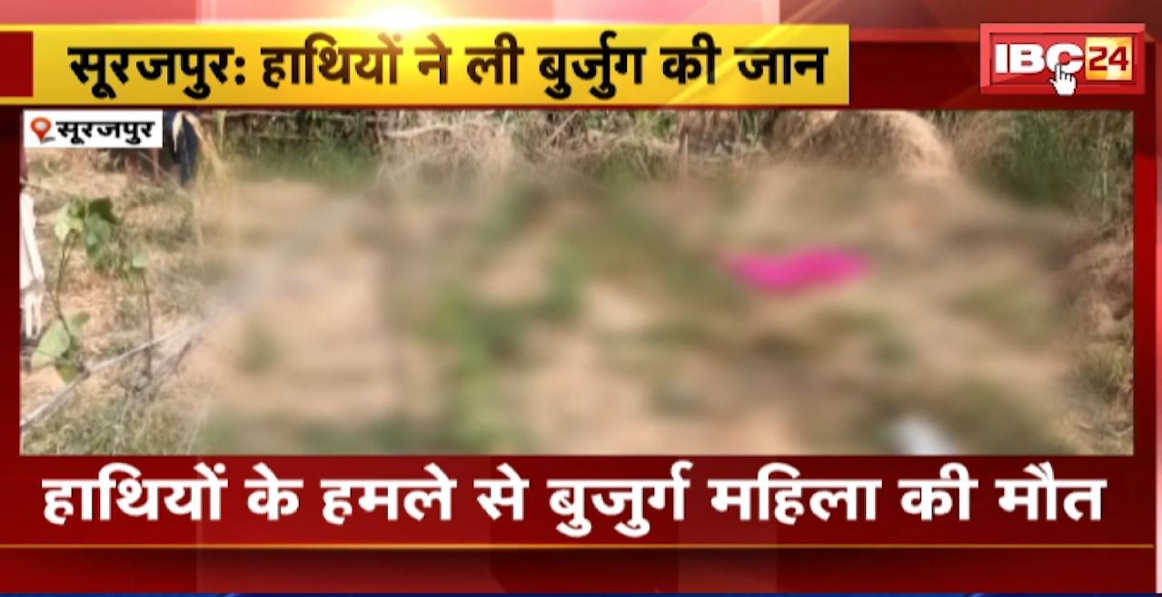 Surajpur Elephant Attack News : हाथियों के हमले से बुजुर्ग महिला की मौत। 3 हाथियों का दल क्षेत्र में कर रहा विचरण