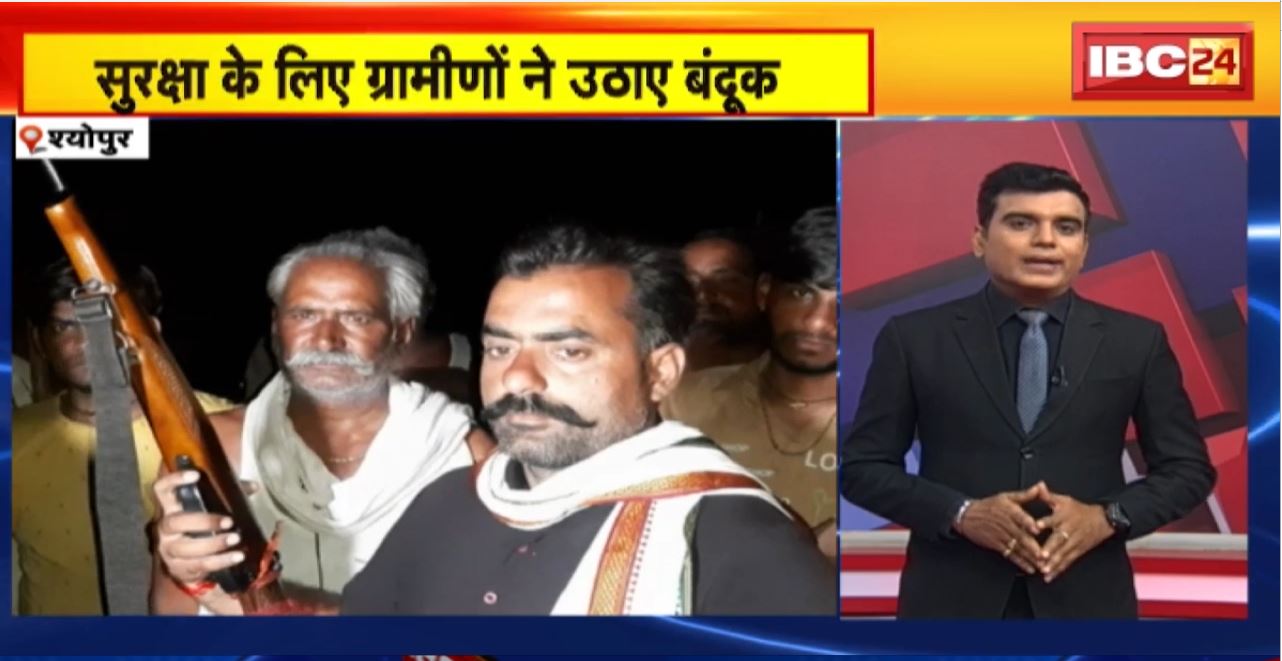 TOP 6 PM : सुरक्षा के लिए ग्रामीणों ने उठाए बंदूक। 6 Anchor 36 News | MP-CG Latest News