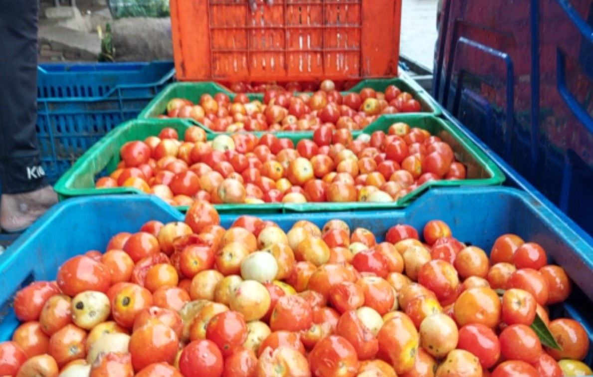 Man became a millionaire by selling tomatoes