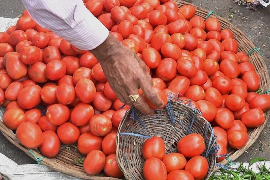 Tomato Price Hike: Congressmen demonstrated by wearing garlands of tomatoes