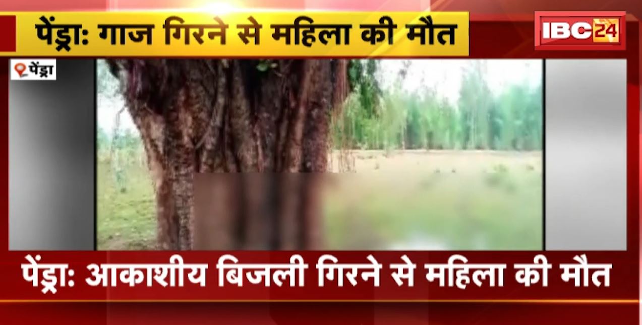 Pendra में आकाशीय बिजली गिरने से महिला की मौत | 3 घायल चरवाहे जिला अस्पताल में भर्ती