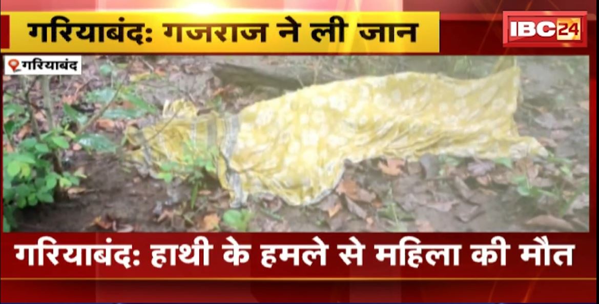 गरियाबंद में हाथी के हमले से महिला की मौत। महुआ बीनने के लिए जंगल गई थी महिला। देखिए..
