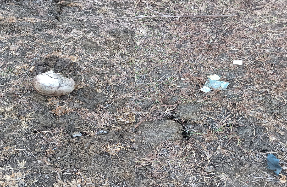 Janjgir Champa News: पॉवर प्लांट के अंदर इल हाल में मिली लापता कर्मी की हड्डियां, मचा हड़कंप, पुलिस ने जताई ऐसी आशंका