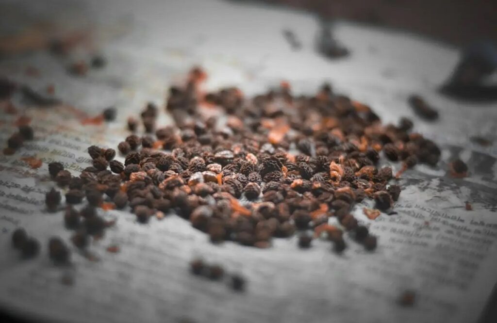 Papaya seed is very beneficial for digestive system