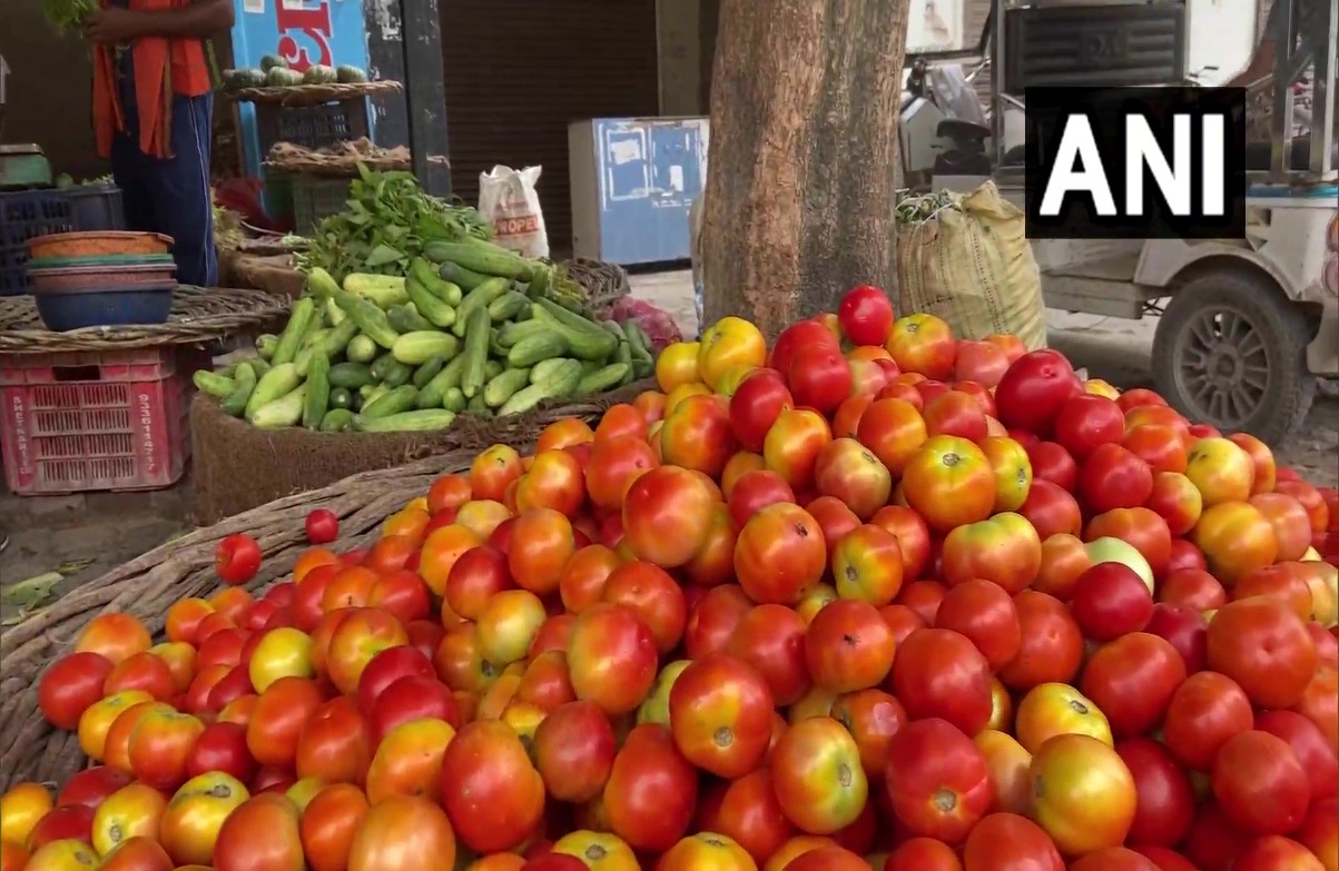 Tomato Price Today: 40 रुपए से ज्यादा सस्ता हुआ टमाटर, 68 रुपए में खरीद सकेंगे एक किलो, थाली में लौटेगा खाने का स्वाद