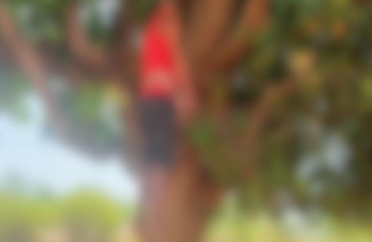 Jashpur news: पेड़ से लटकती मिली युवक की लाश, इलाके में फैसी सनसनी, परिजनों ने जताई ऐसी आशंका