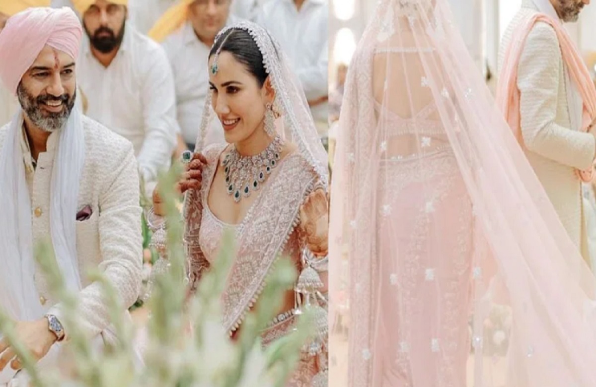 बॉलीवुड की मशहूर अभिनेत्री ने रचाई शादी, कार्तिक आर्यन के साथ प्यार का पंचनामा फिल्म में आई थी नजर …