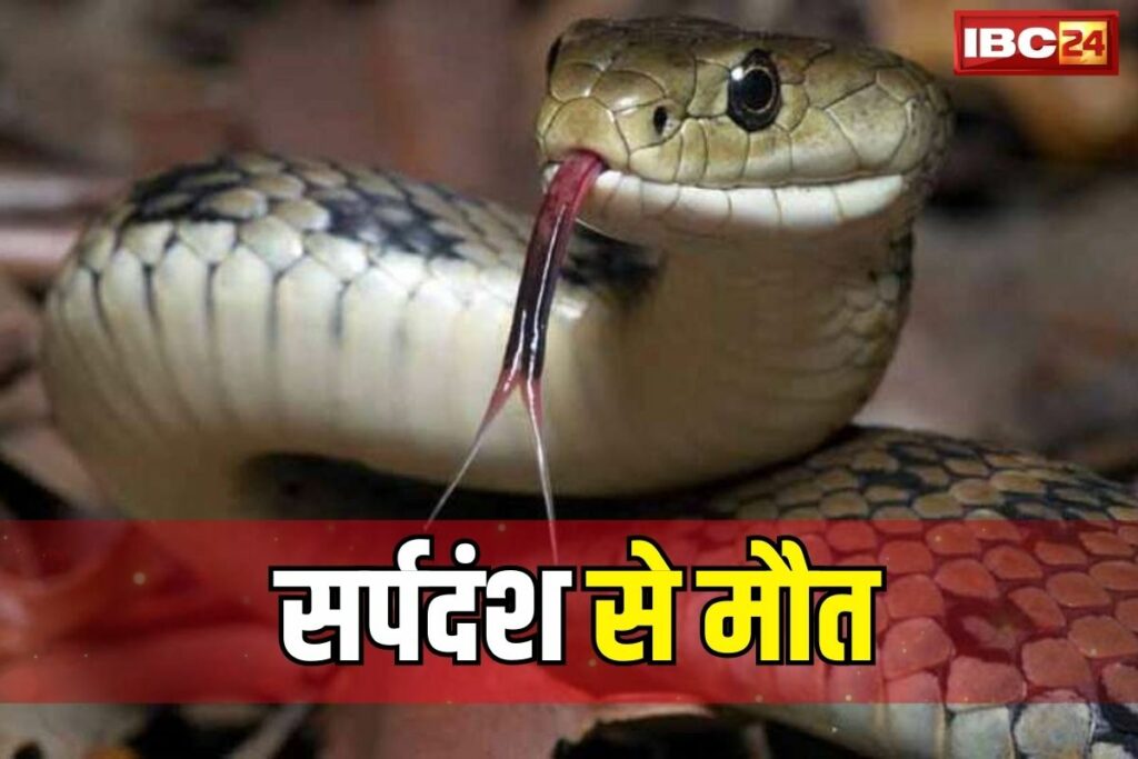 3 students died due to snake bite