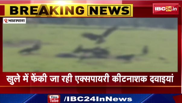 Bhatapara में कीटनाशक का सेवन करने से 10 पशुओं की मौत। SDM ने पशु चिकित्सकों को दिए जांच के आदेश। देखिए वीडियो…