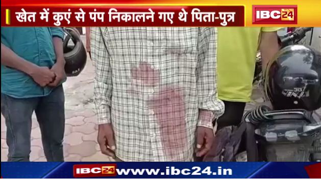 जबलपुर में 10 से 12 कुत्तों ने पिता-पुत्र पर किया हमला। खेत में कुएं से पंप निकालने गये थे पिता-पुत्र। देखिए…