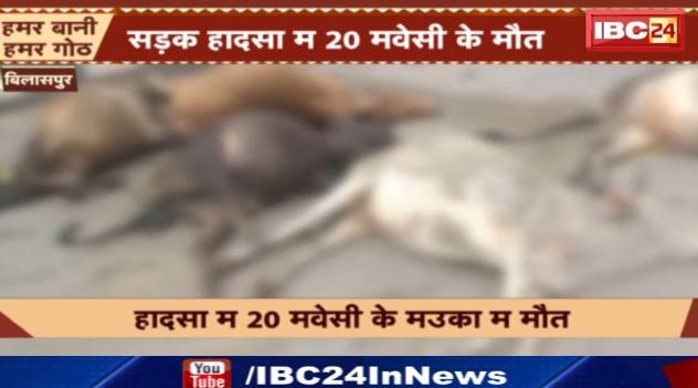 Bilaspur Road Accident : सड़क हादसा म 20 मवेसी के मौत। हादसा ले सहर म लोगन नराज