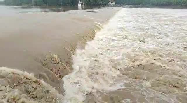 Shivnath river in spate due to heavy rains in Bhilai