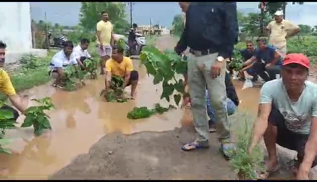 Kawardha News: सड़क के गड्ढों में बेशरम का पौधा रोपकर किया अनोखा प्रदर्शन, मांग पूरी नहीं होने पर दी उग्र आंदोलन की चेतावनी