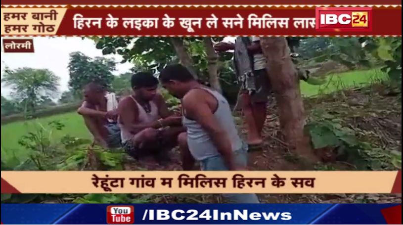 रेहूंटा गांव म मिलिस हिरन के सव। सव ल पोस्टमार्टम बर भेजे गिस। देेखिए..