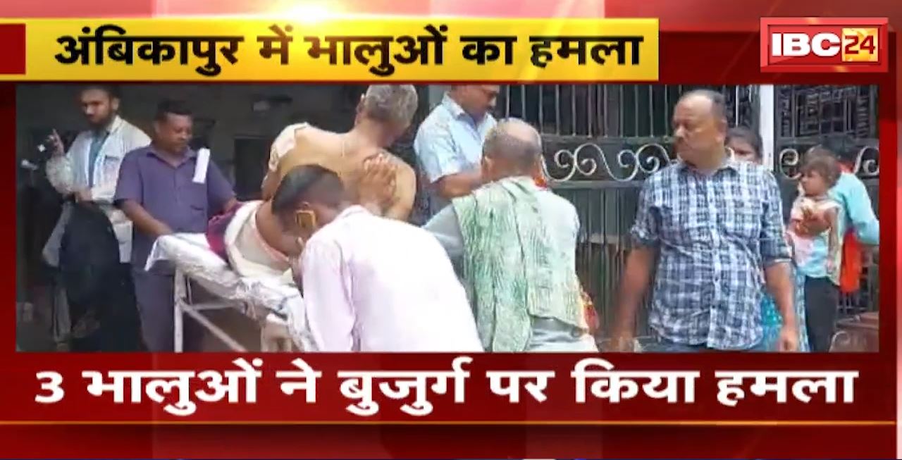 Ambikapur Bear Attack : 3 भालुओं ने बुजुर्ग पर किया हमला। बुजुर्ग को अस्पताल में किया गया भर्ती