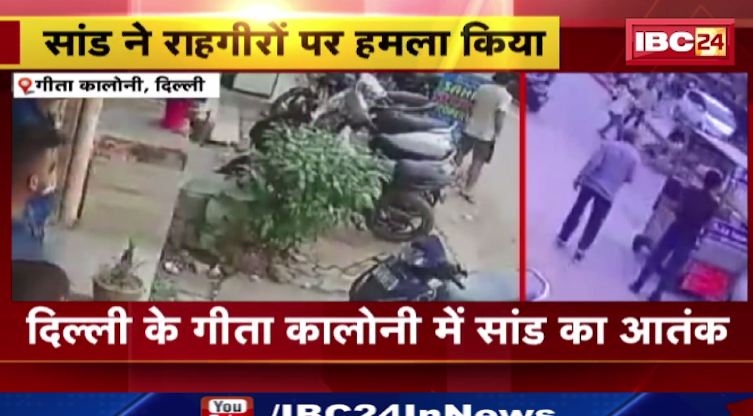 Delhi के Gita Colony में सांड का आतंक। सांड के हमले में एक शख्स घायल। देखिए वीडियो..
