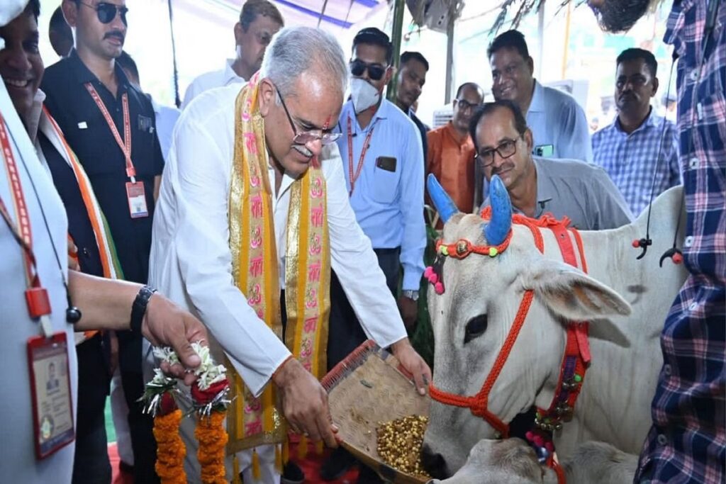 CG Godhan Nyaay Yojna Payment Online Transfer