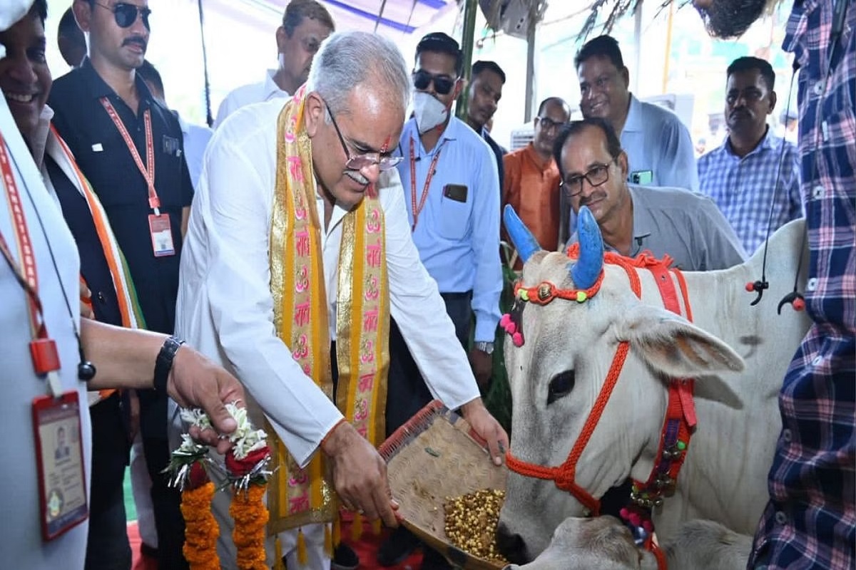 CM: हरेली पर प्रदेश के किसानों, पशुपालकों को CM भूपेश की सौगात, गौठान समितियों को करेंगे करोड़ो रुपये का ऑनलाइन भुगतान..