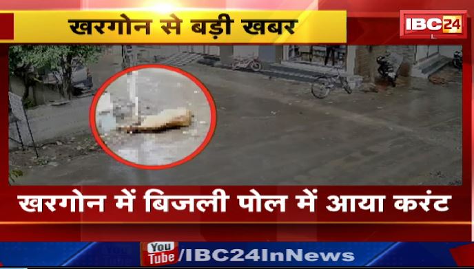 खरगोन में बिजली पोल में आया करंट । करंट लगने से मवेशी की गयी जान । देखिए..