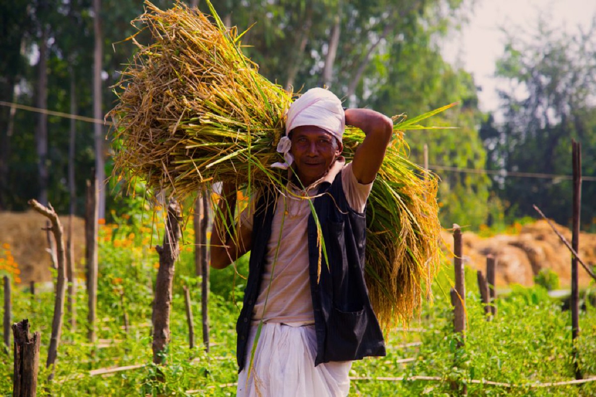 Hareli Festival 2023: क्या है हरेली पर्व के पीछे की सीख? जाने क्यों है यह पर्व किसानों के लिए ख़ास..