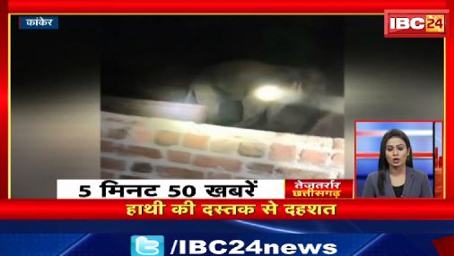 Kanker में हाथी की दस्तक से दहशत।  तेजतर्रार छत्तीसगढ़ | Chhattisgarh Non Stop News