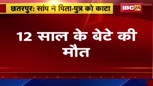 Chhatarpur में सांप ने पिता-पुत्र को काटा। 12 साल के बेटे की मौत। पिता की हालत गंभीर