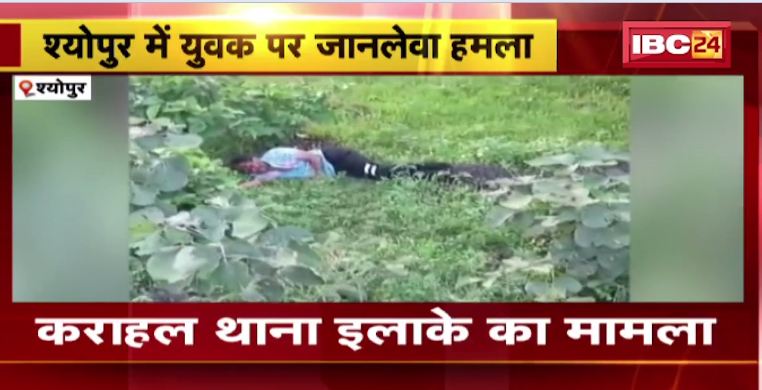 Sheopur में युवक पर कुल्हाड़ी से जानलेवा हमला। वारदात को अंजाम देकर बदमाश फरार। देखिए वीडियो..
